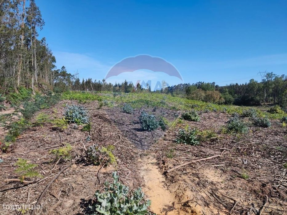Terreno  para venda