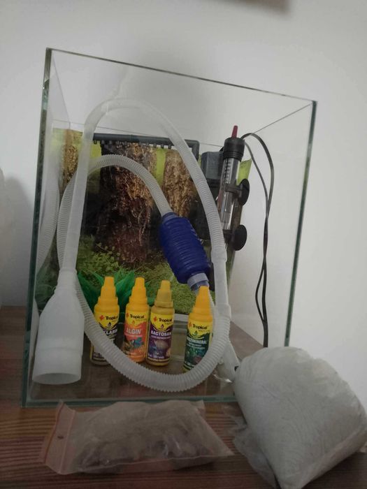 Akwarium dla rybek