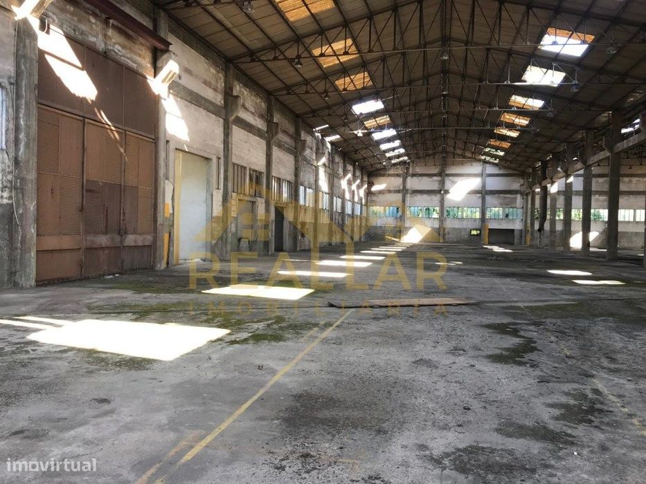 Armazém Industrial com Potencial de Expansão