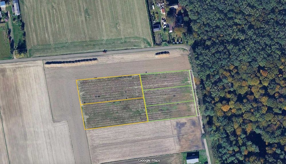 Działki budowlane przy lesie z warunkami zabudowy | Józefów, gm. Mełgiew | 19 km od Lublina