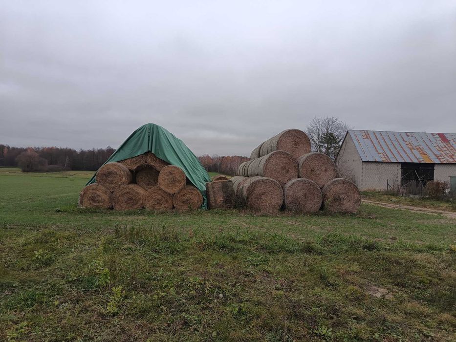 Siano ładne suche pachnące