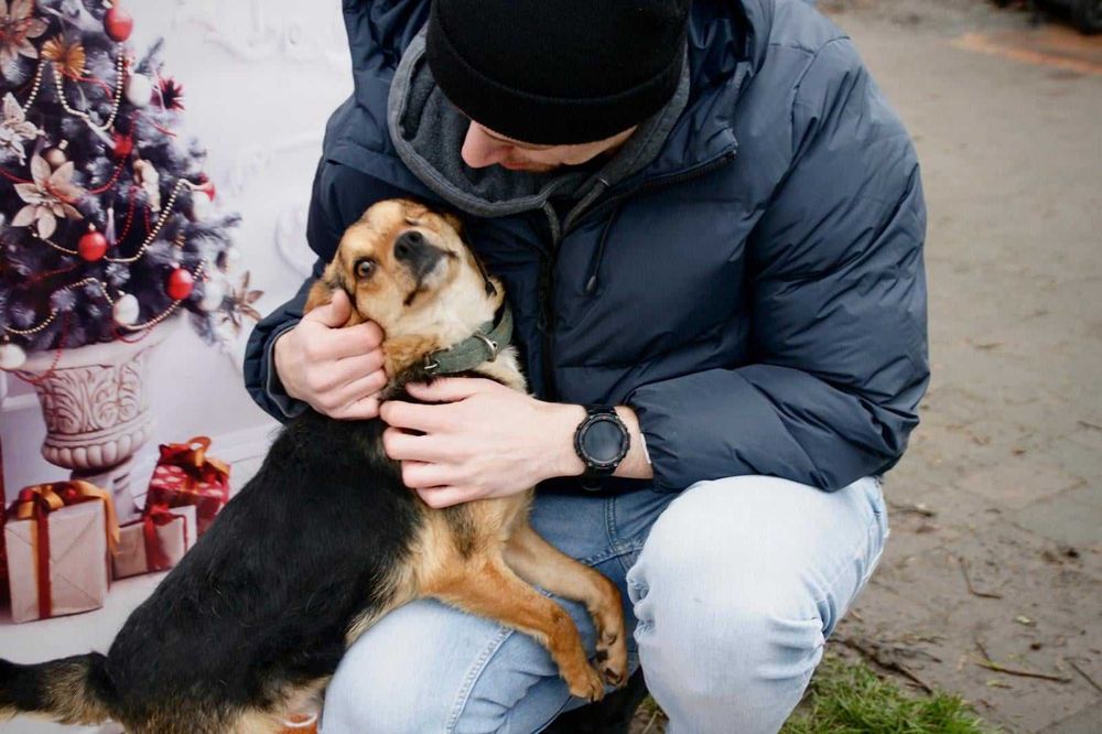 Młody psiak bez oczka szuka domu