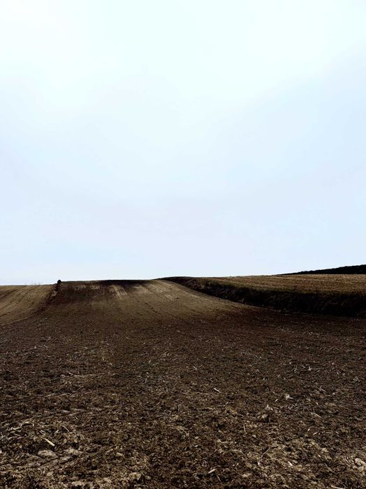 Działka rolna, blisko wsi >1 ha, Kazimierza Wlk/Czarnocin/Skalbmierz