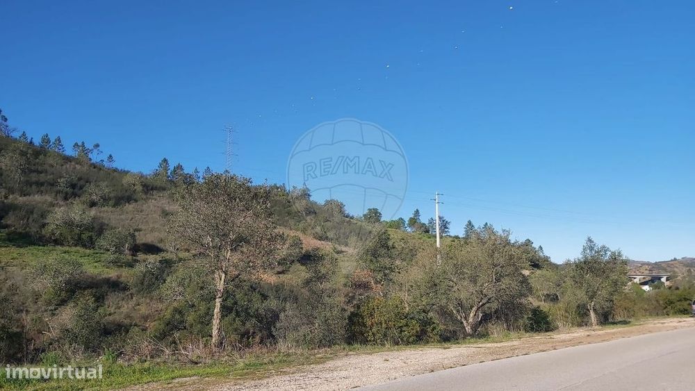 Terreno  para venda — São Bartolomeu de Messines, Faro