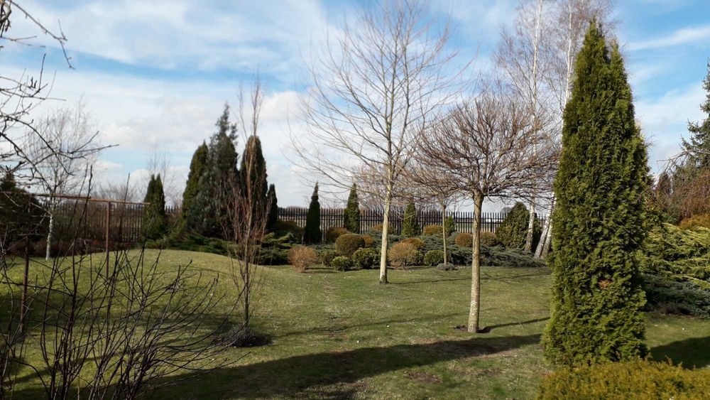 cięcie żywopłotów Formowanie krzewów ozdobnych pielęgnacja ogrodu