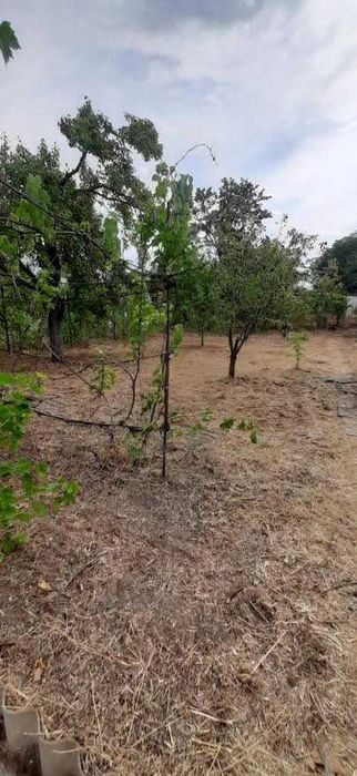 Продам дачу за Любимовкой от города 15 км