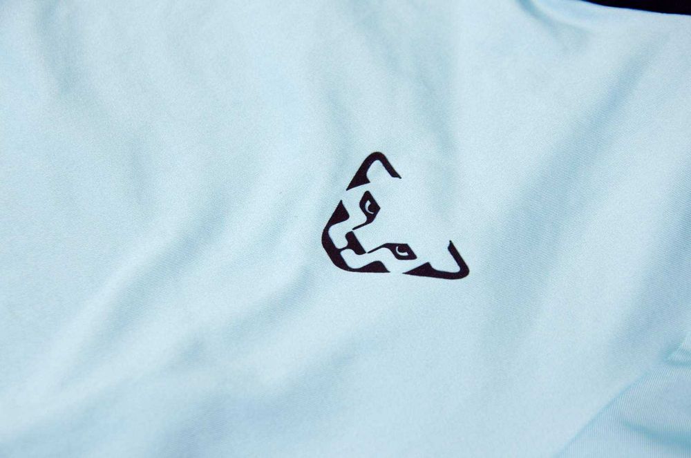 Лонгслів Dynafit Alpine. Розмір L