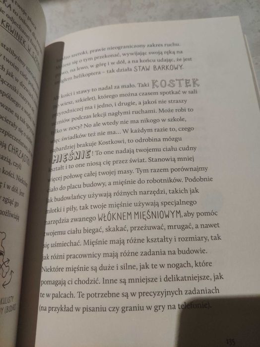 Książka Bebechy/dla dzieci/ edukacyjna