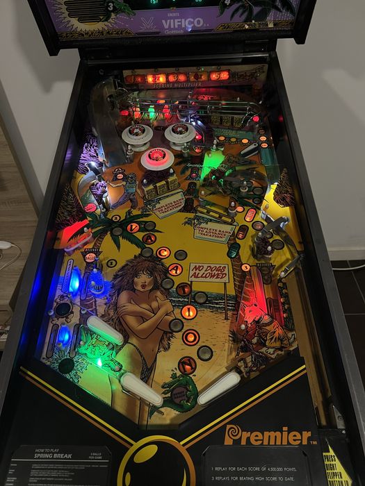 Flipper (pinball) Gottlieb Spring Break