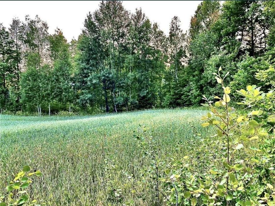 Działka na Kaszubach