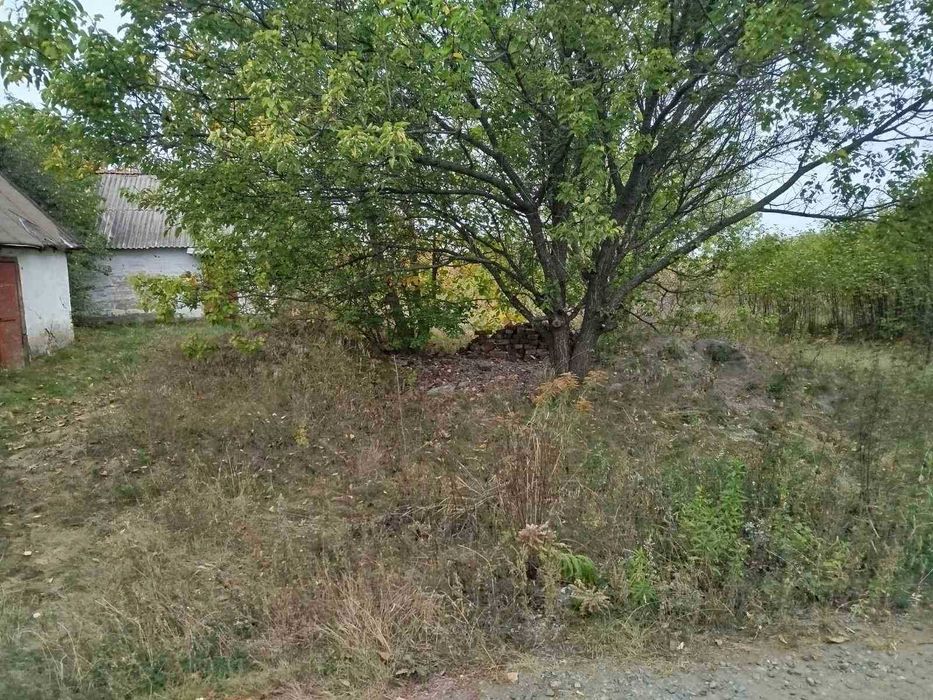 Рибці! Продам земельну ділянку 15 соток