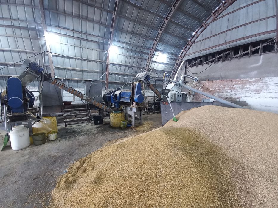 Соєва макуха, соєвий жмих, соєвий шрот (соєва олія)