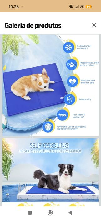 Tapete refrescante para animais