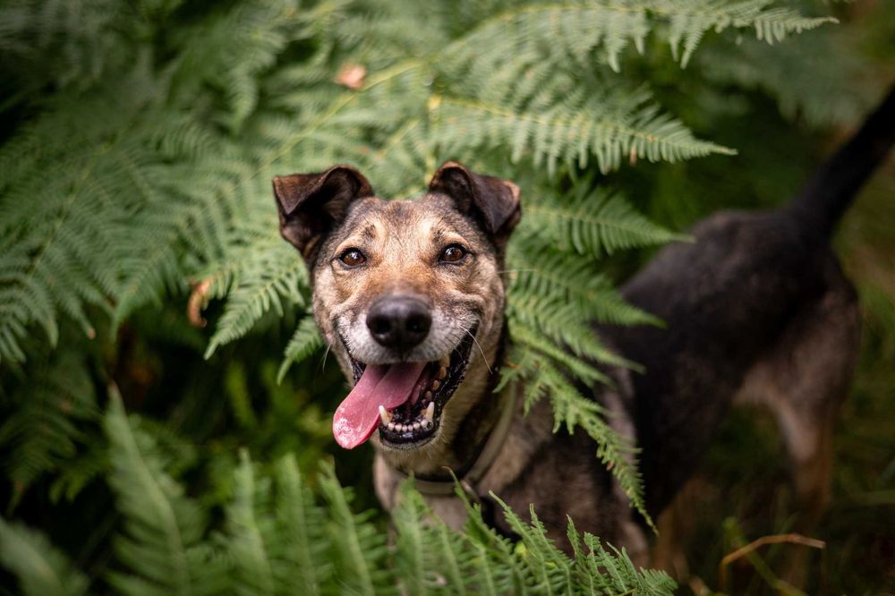 Pomijany i zapomniany… Miszel marzy, by ktoś wreszcie go zauważył
