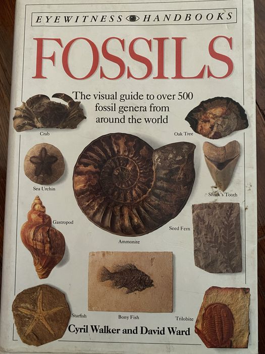 Fossils.