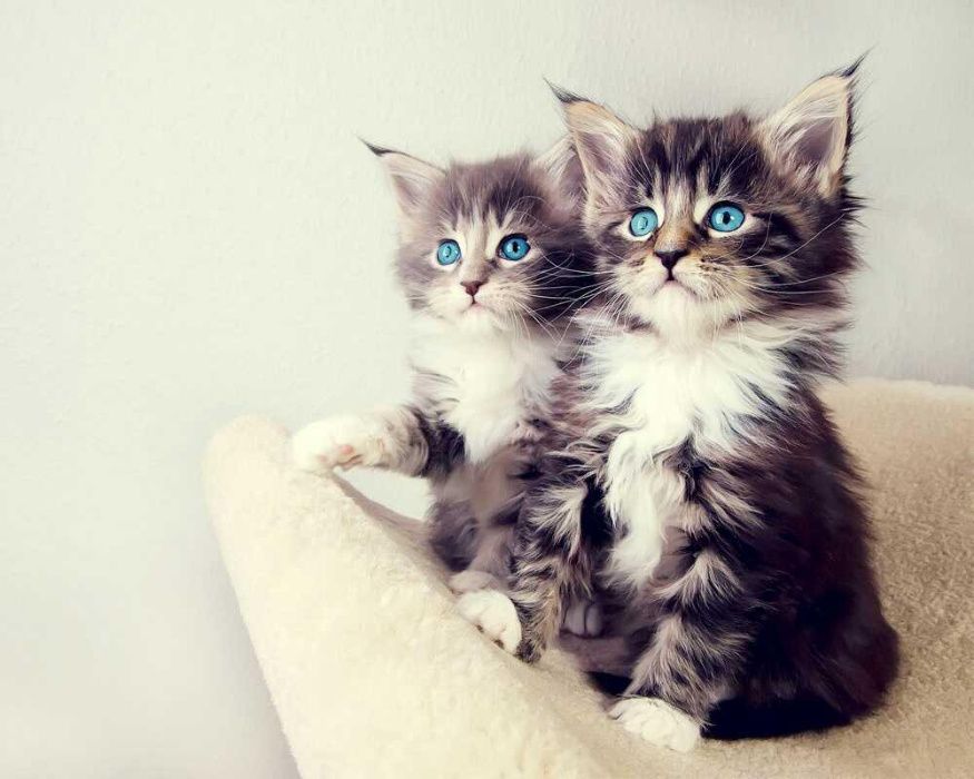 Quadro Poster Fotografia todos de grande qualidade