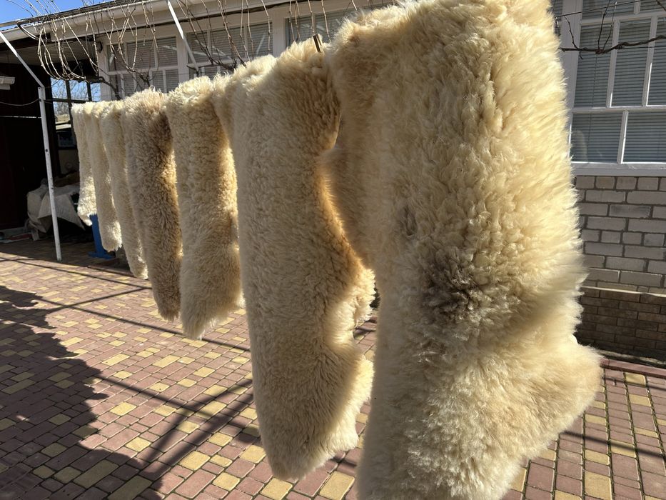 Овечі шкурки натуральні