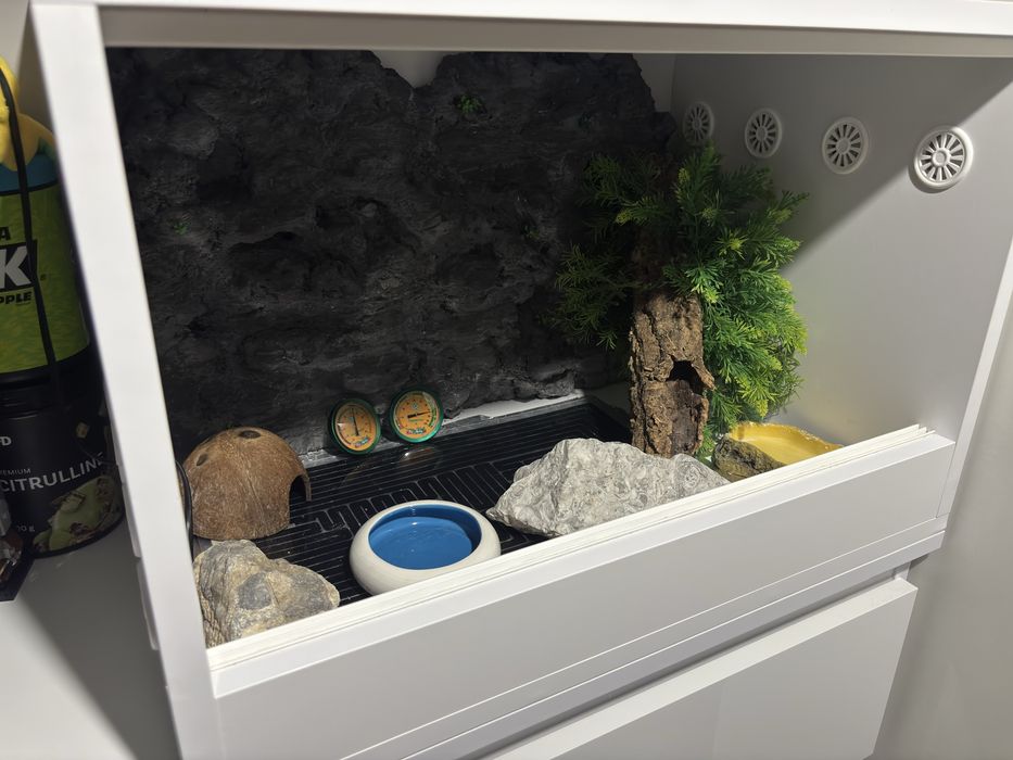 Terrarium 60x40x40 ze scianka i wyposazeniem