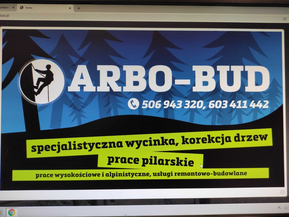 Wycinka Korekcja Drzew