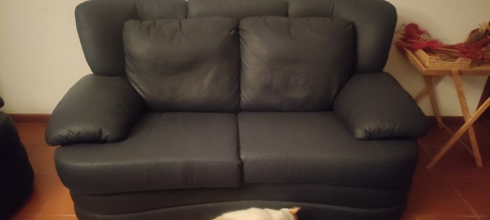 Conjunto de 2 sofás em eco pele