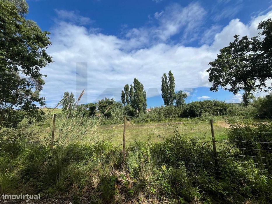 Terreno Rustico com 5.750m2 em Santo Isidoro