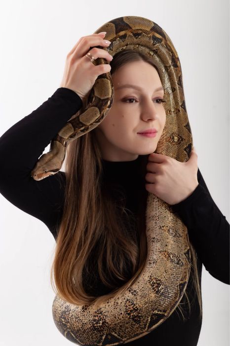 Оренда аренда удава для фото