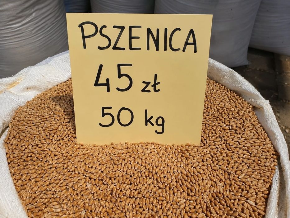 Pszenica 45zl 50kg gruba czysta