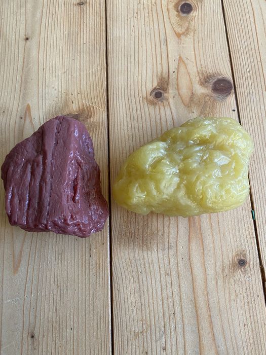 Model tkanki tłuszczowej i mięśnia – idealny dla trenera personalnego