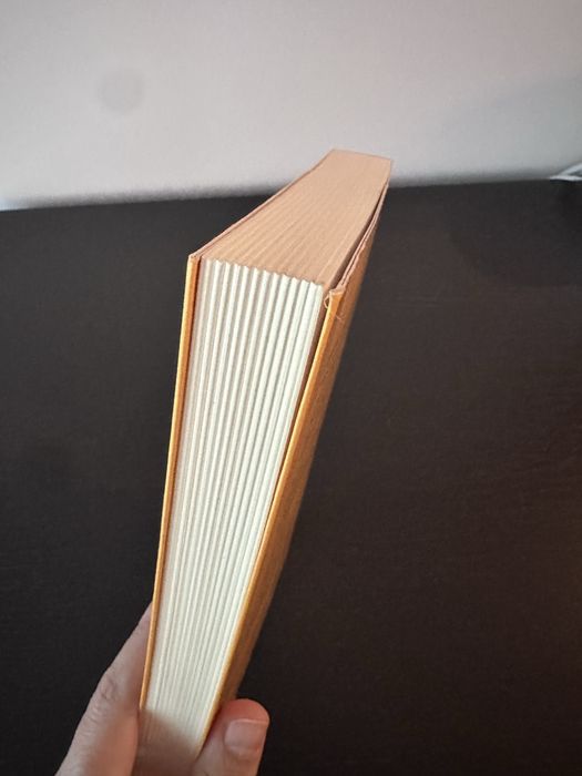 Livro O pequeno ditador