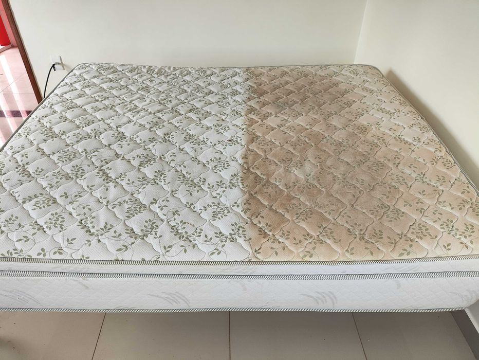 Higienização de Sofá, colchões e carros / Pinturas de casa em Geral