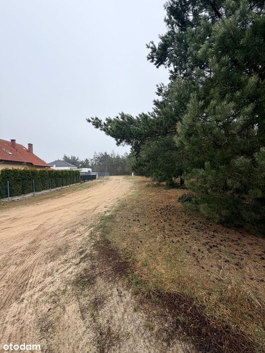 Na sprzedaż działka budowlana 1604 m², MPZP, Ostrowina, gm. Oleśnica