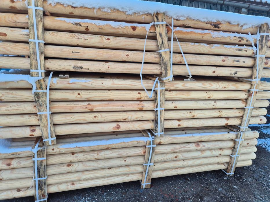 Podpory paliki do Drzew do Nasadzeń Tyczka - Gotowy Zestaw fi5 x 250cm