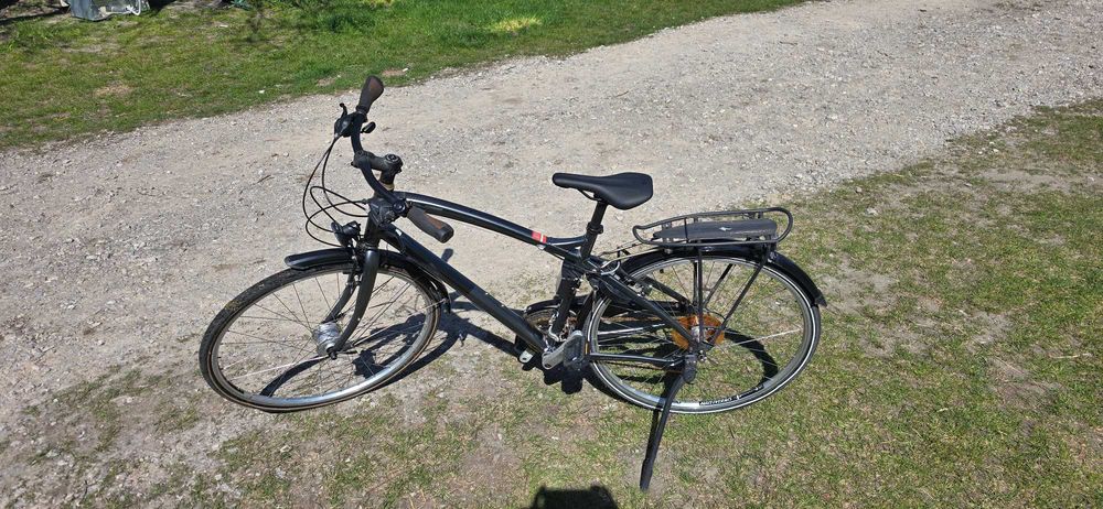 Rower Specialized Globe