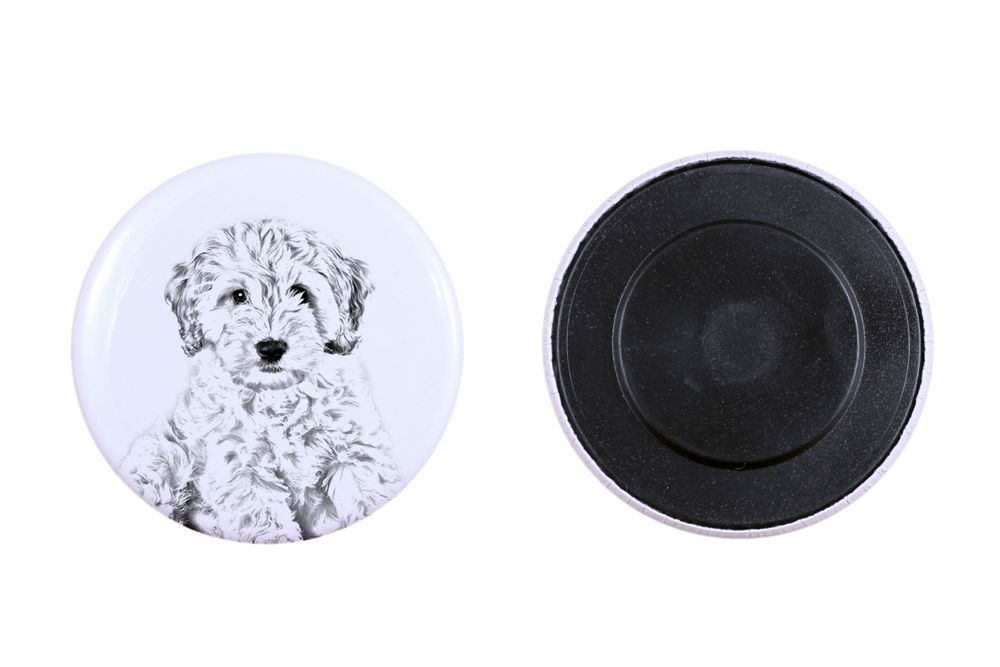 Cockapoo magnes z psem mały Art-Dog