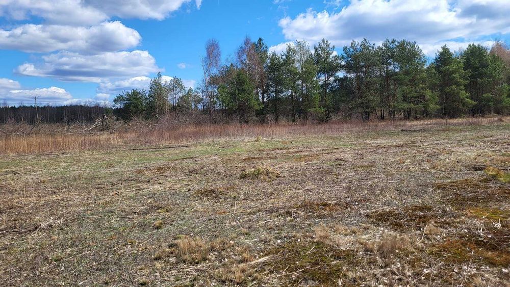 Nadma przy S8: 5126 m², MPZP 9MN, 16-20 lokali, od właścicieli - Widok 2