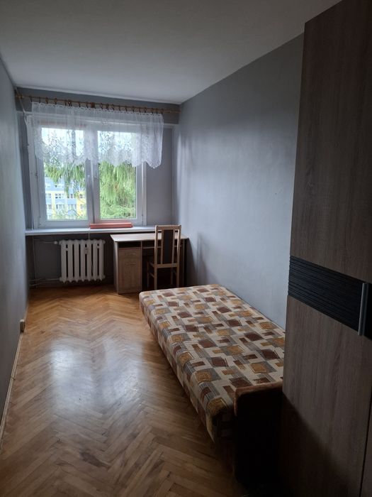 Pokój do wynajęcia