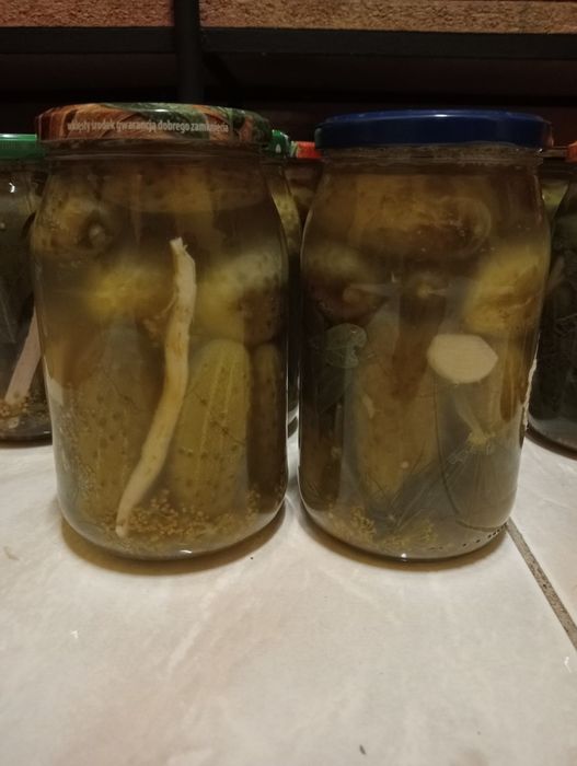 Ekologiczne ogórki kiszone z własnego ogródka