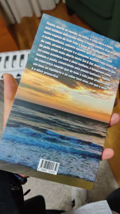 Livro - Sol e sal - Antônio Feijó