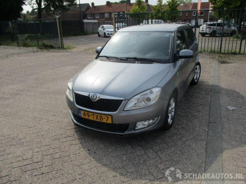 skoda fabia РОЗБОРКА в наявності