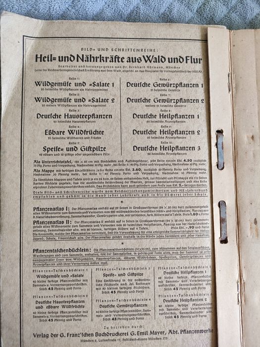 B. Hörmann, Heil- und Nährkräfte aus Wald und Flur.