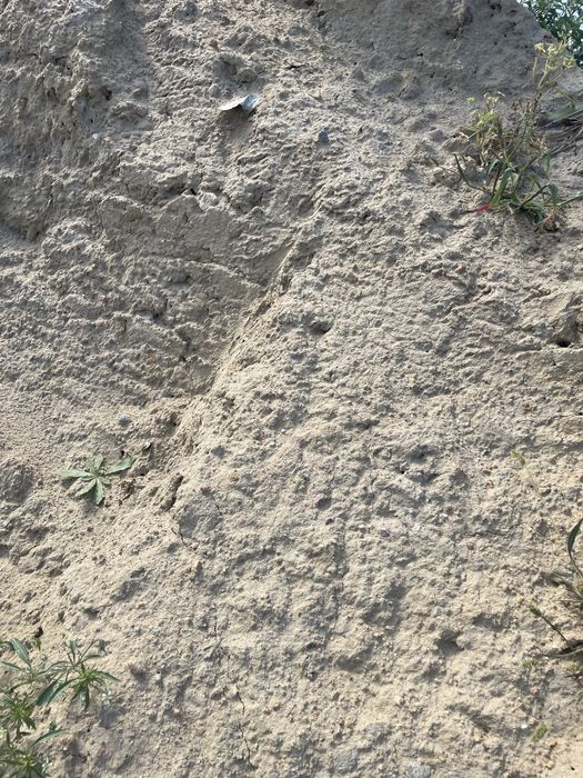 Oddam ziemie z wykopu stawu za darmo