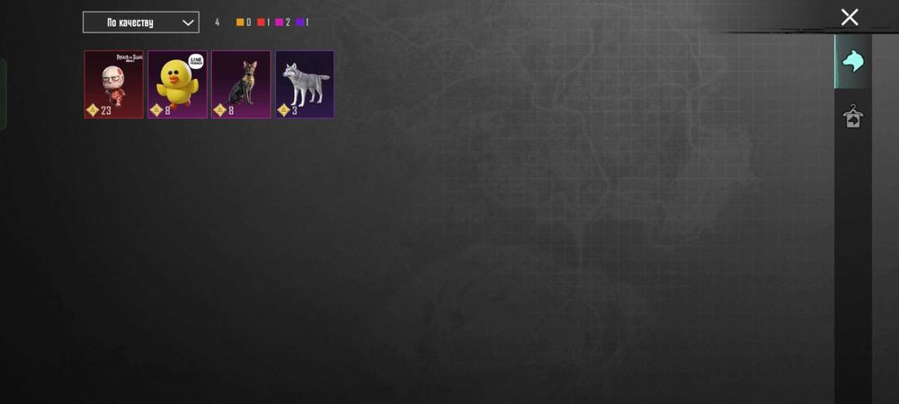 Продам аккаунт в пабг /pung mobile