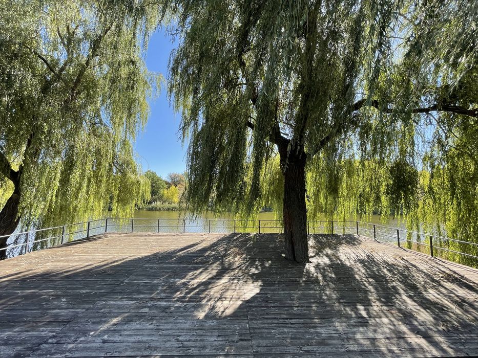 Продам земельный  участок  Харьков Земля под строительство дома