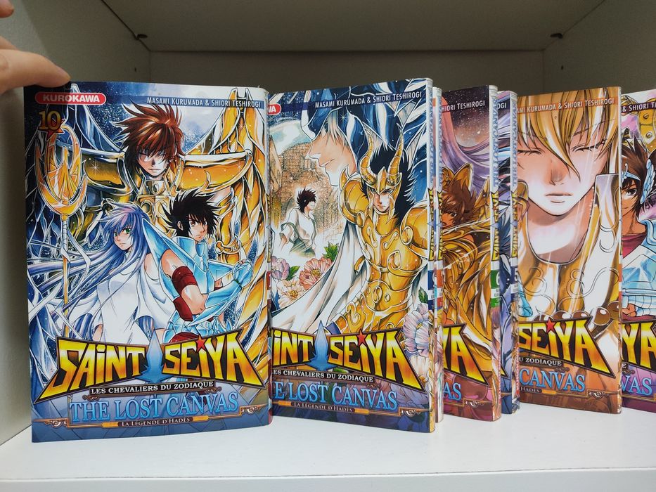 Saint Seiya Lost Canvas em Francês