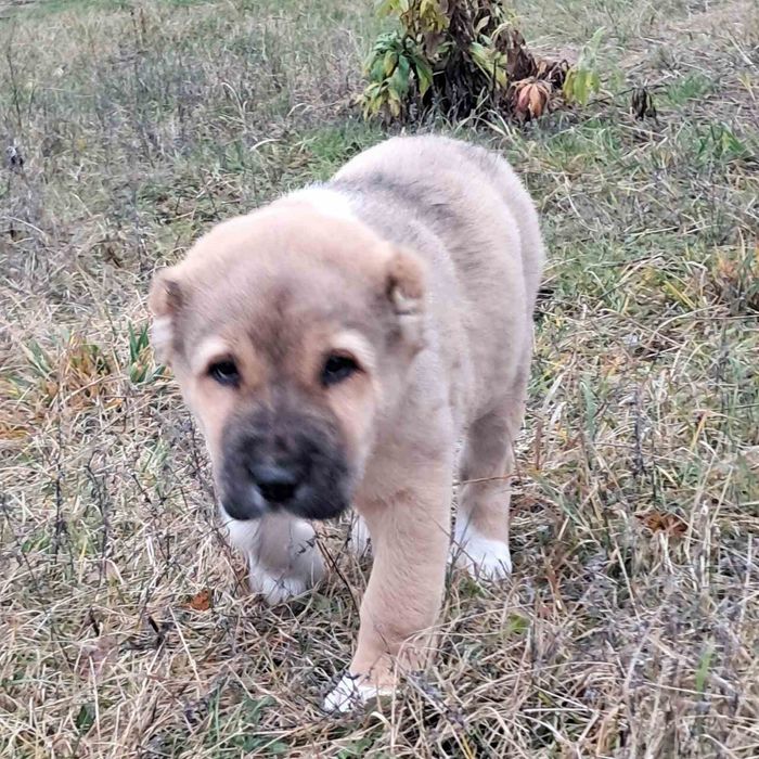 Дівчинка чекае батьків