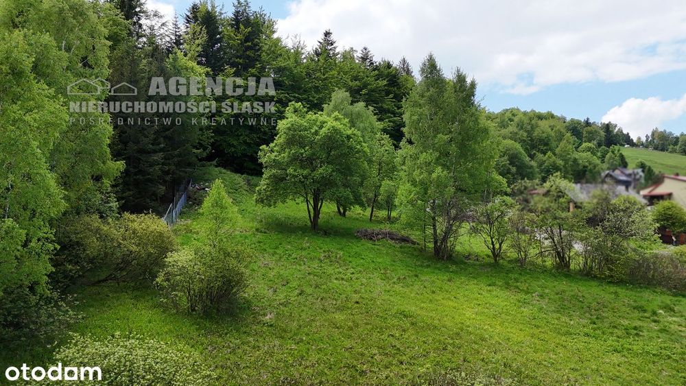 Cisza, spokój, natura, widoki