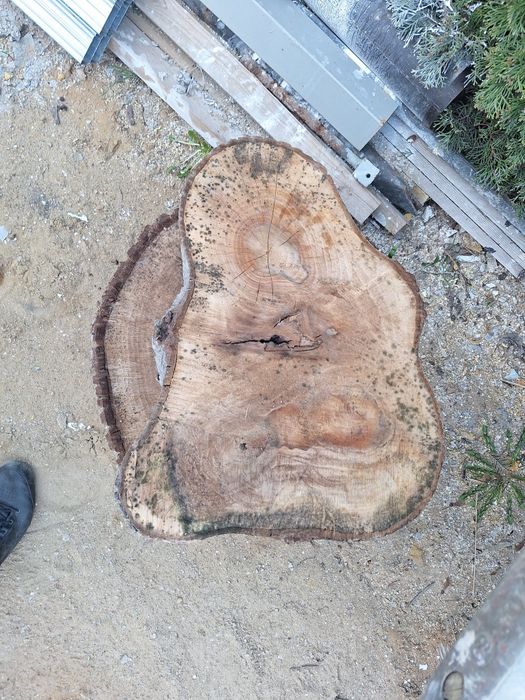 Krążki drewniane orzech