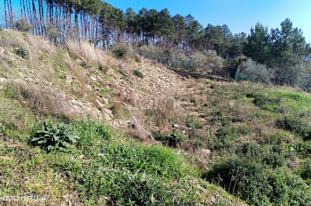 Terreno Para Construção