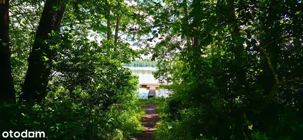 Na Sprzedaż Wyjątkowy Domek Nad Jeziorem Na Mazurach