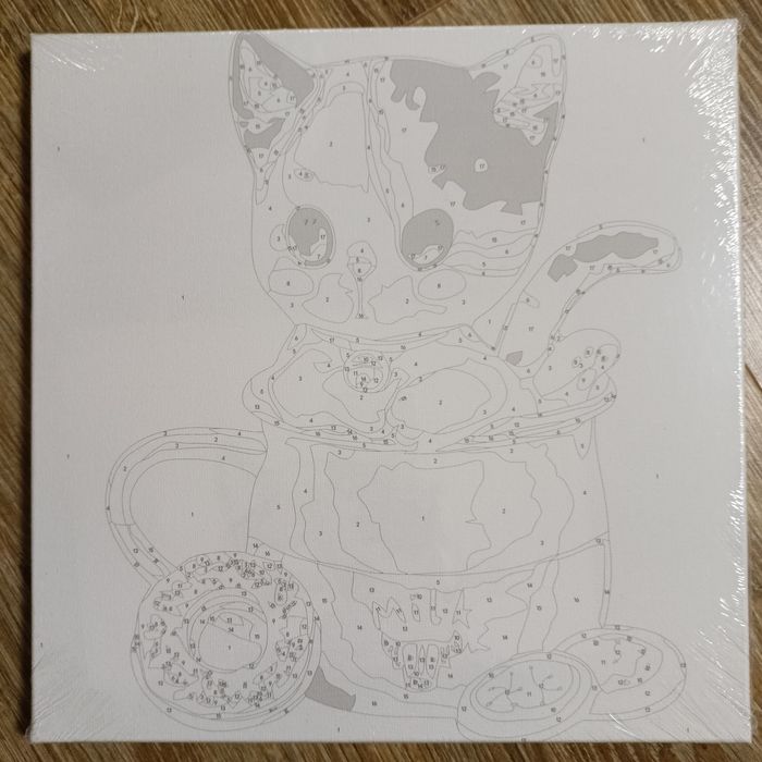 Malowanie po numerach Kotek 30x30cm iPicasso
